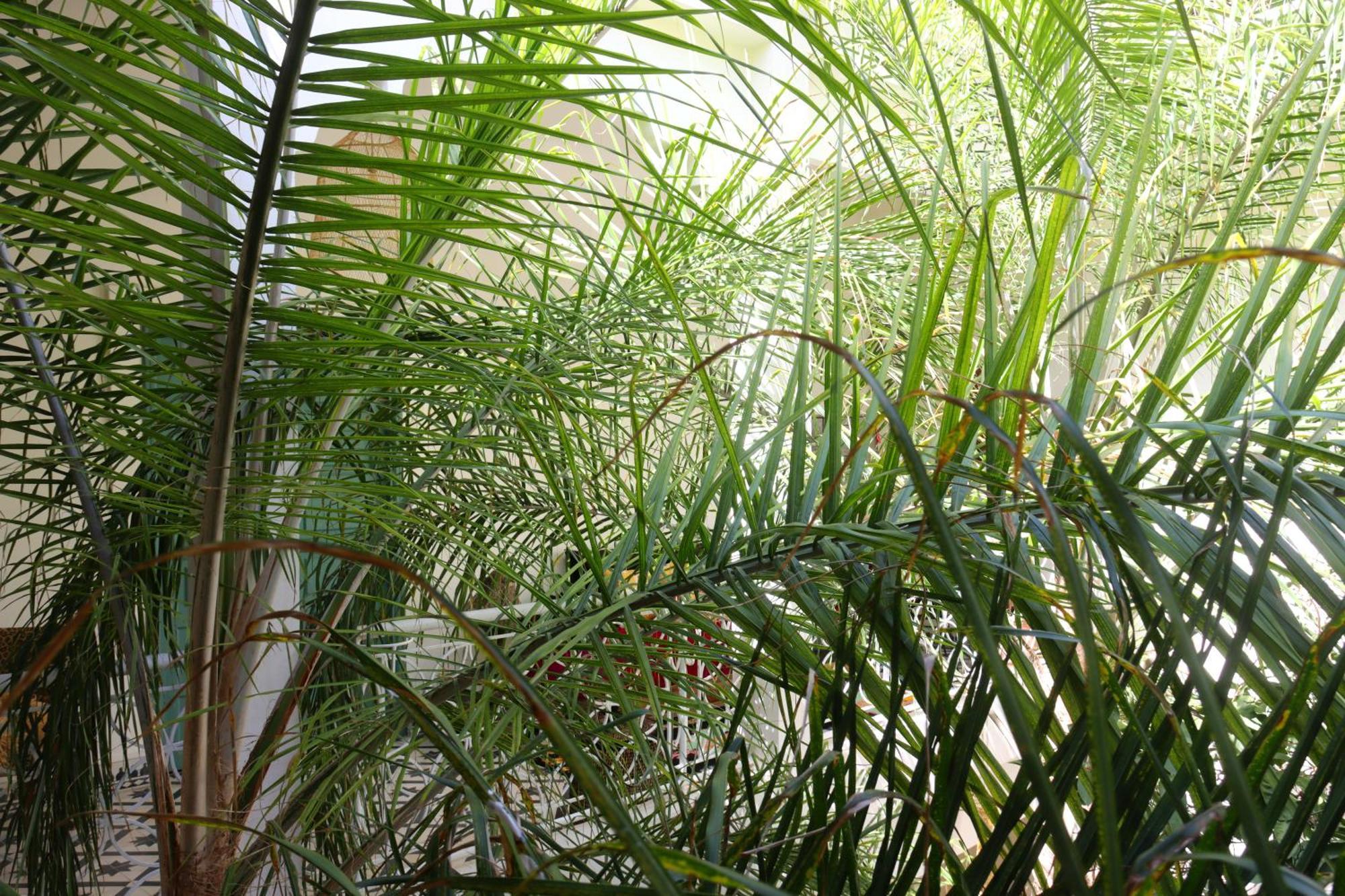 Riad Naanaa Bed & Breakfast Marrakesh Exteriör bild