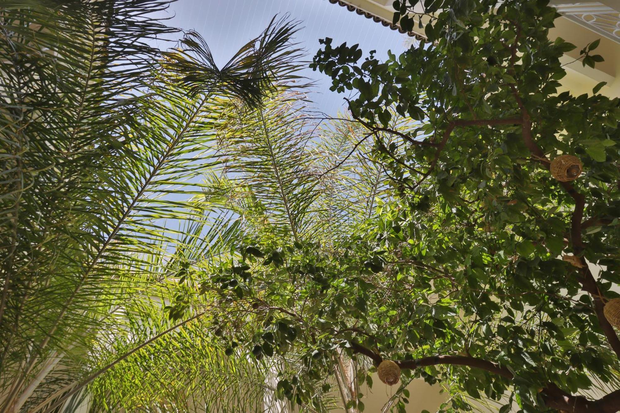 Riad Naanaa Bed & Breakfast Marrakesh Exteriör bild