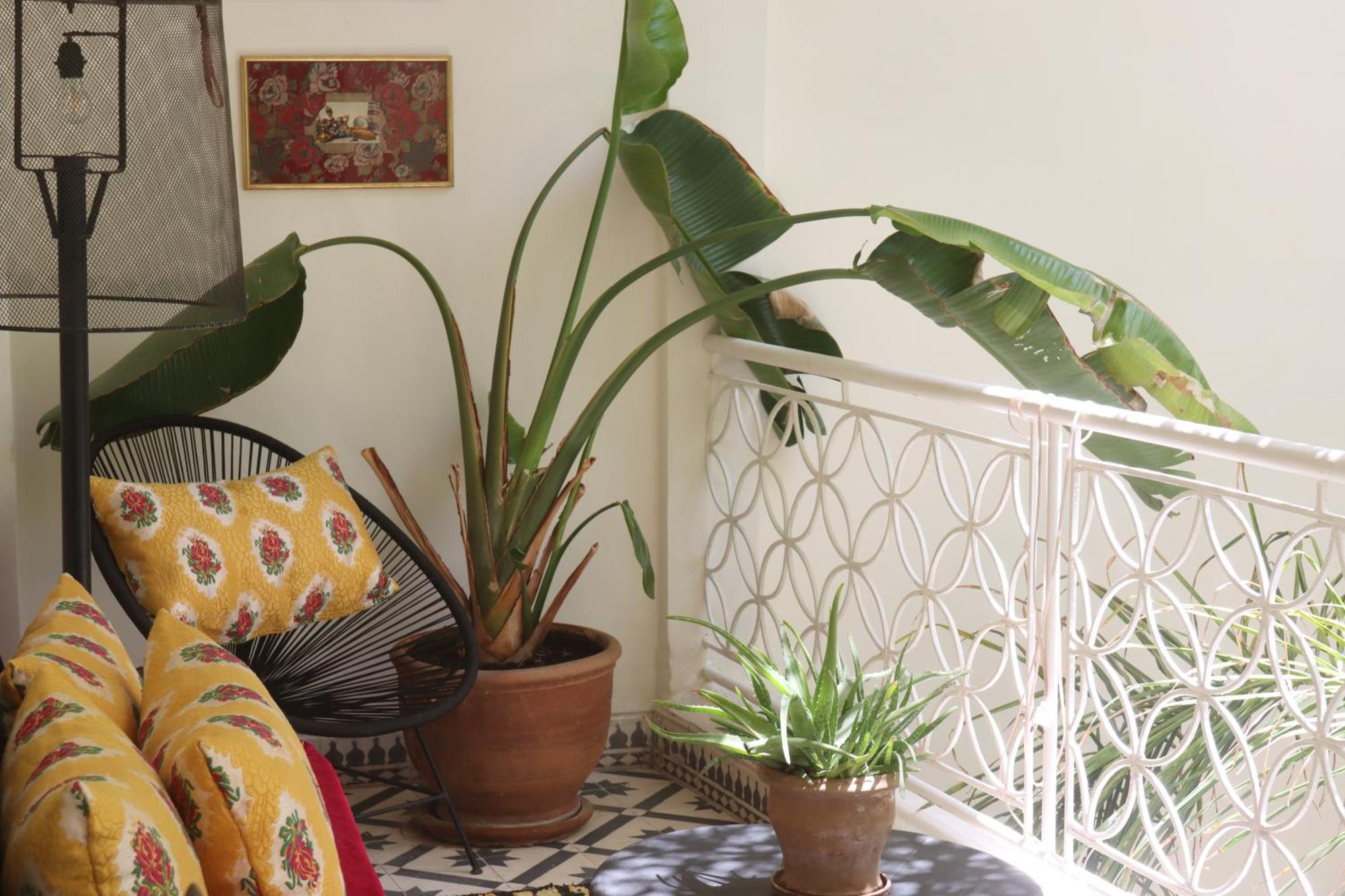 Riad Naanaa Bed & Breakfast Marrakesh Exteriör bild
